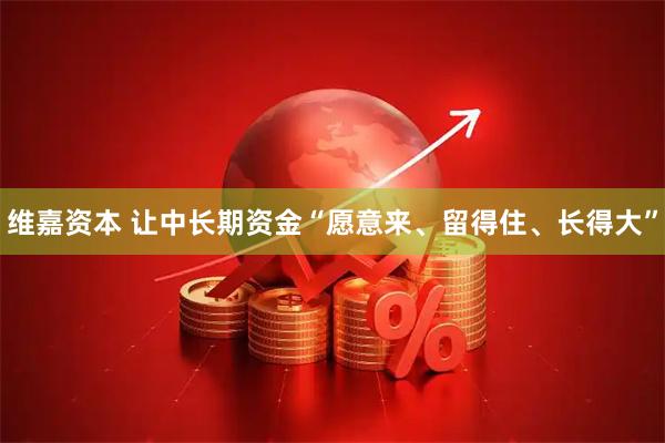 维嘉资本 让中长期资金“愿意来、留得住、长得大”