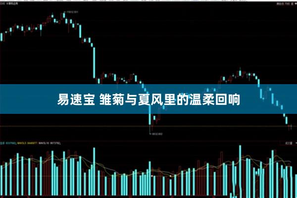 易速宝 雏菊与夏风里的温柔回响